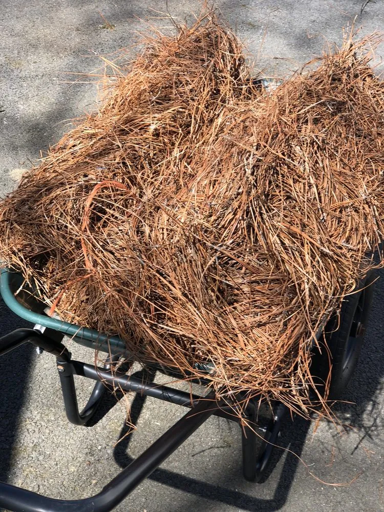 Reliable yard cleanup service near you across Glenmoore, PA - Mid Atlantic Pine Straw Mulch