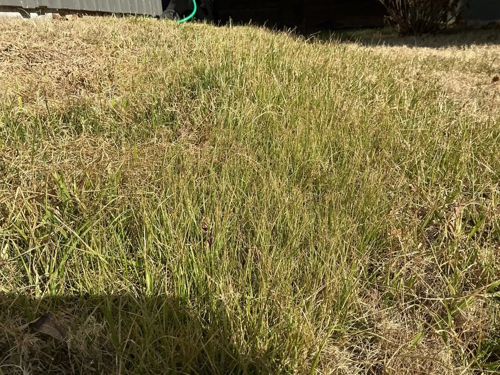 Top-rated lawn care service with custom design in Fort Worth, TX by Mid Cities Landscaping