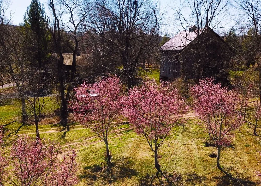 Affordable lawn care service in Hellertown, PA by Mid-Hill Nursery