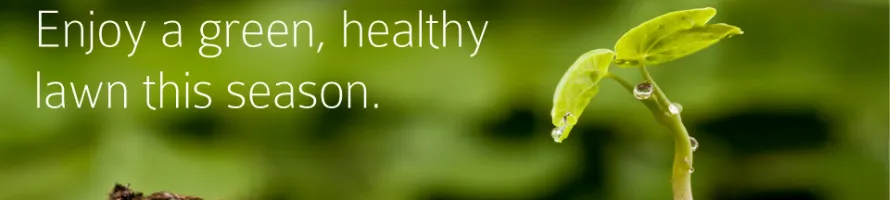 Expert lawn care service for residential properties in Cadillac, MI by Mid Michigan Irrigation And Landscaping