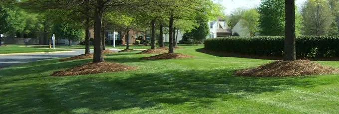 Local yard maintenance in Cadillac, MI - Mid Michigan Irrigation And Landscaping