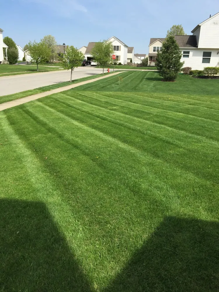 Professional lawn care service experts serving Pickerington, OH - Mid-Ohio Landscaping