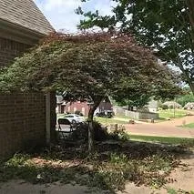 Professional yard cleanup service for year-round maintenance across Bartlett, TN - Mid-South Horticultural Services