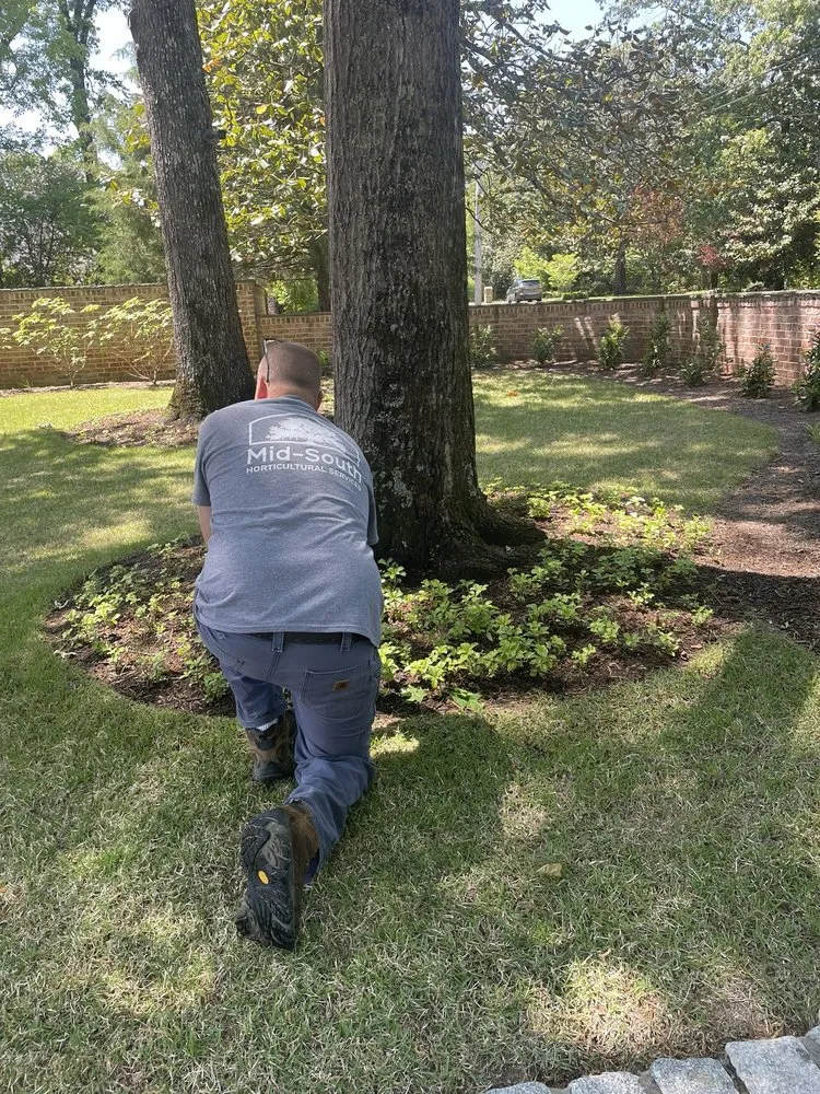 Expert landscape installation for outdoor upgrades across Bartlett, TN - Mid-South Horticultural Services