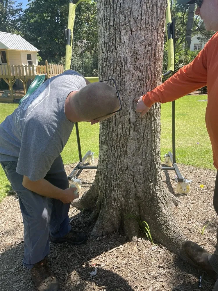 Local yard cleanup service for residential properties across Bartlett, TN - Mid-South Horticultural Services