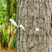 Professional yard maintenance in Bartlett, TN - Mid-South Horticultural Services