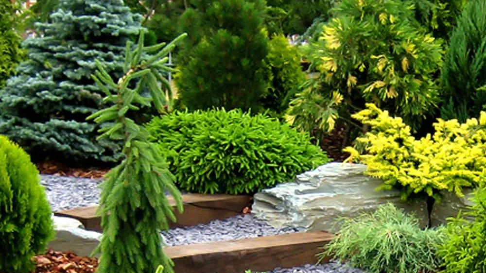 Expert lawn care service in Franklin, TN by Mid South Mulch & Outdoor Services