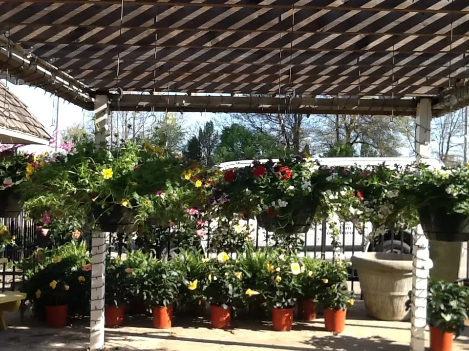 Top-rated yard maintenance in Jonesboro, AR by Mid-South Nursery & Greenhouse