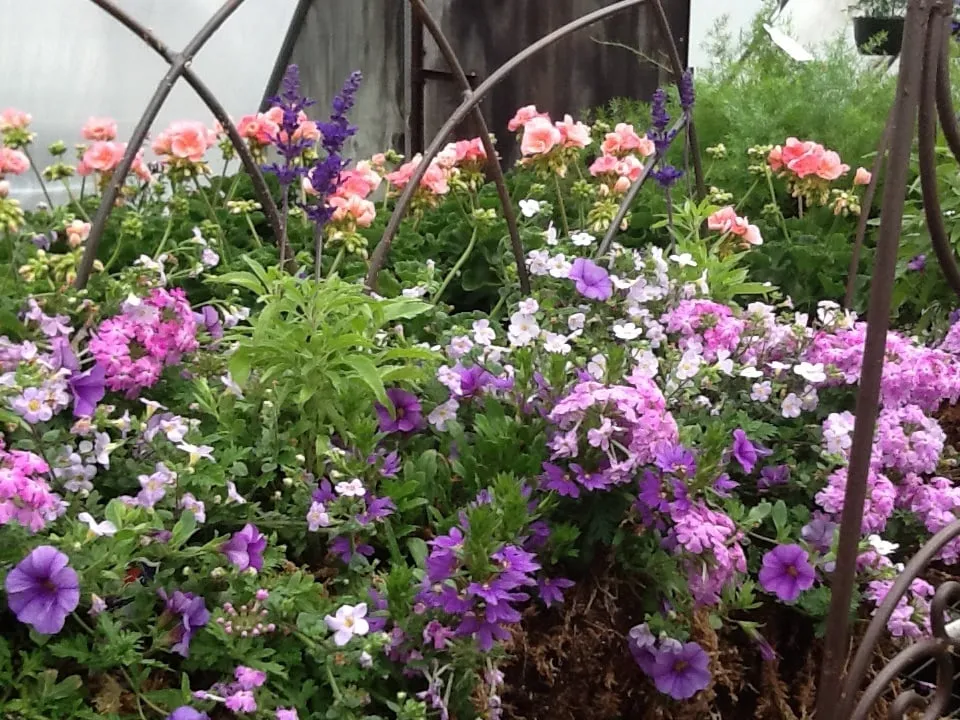 Trusted landscape installation in Jonesboro, AR - Mid-South Nursery & Greenhouse