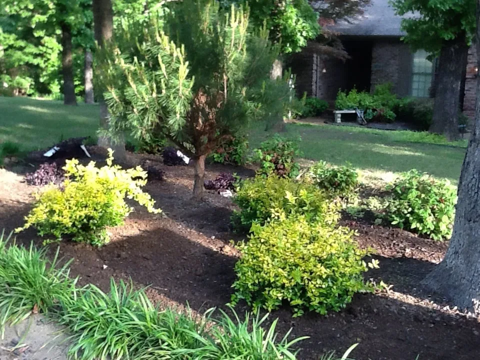 Local landscape installation in Jonesboro, AR by Mid-South Nursery & Greenhouse