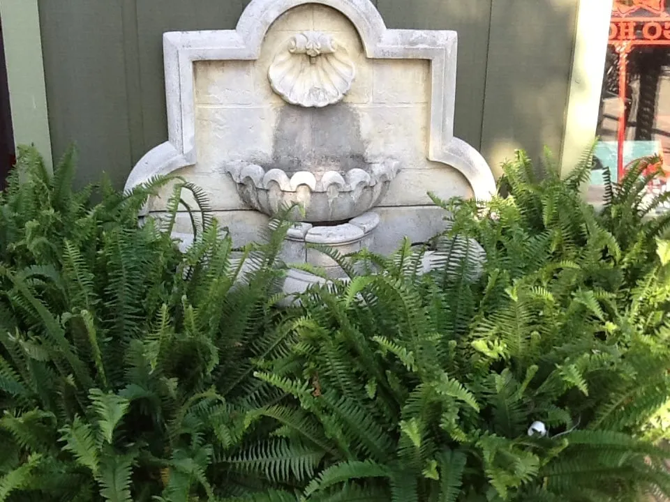 Expert yard cleanup service in Jonesboro, AR - Mid-South Nursery & Greenhouse