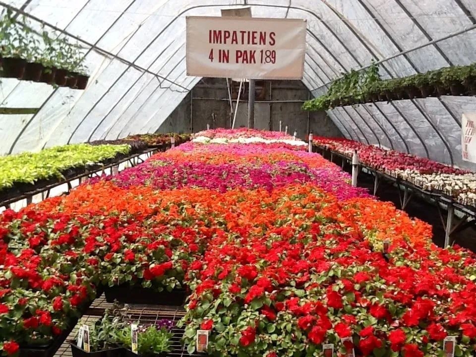 Affordable lawn mowing service experts serving Jonesboro, AR - Mid-South Nursery & Greenhouse