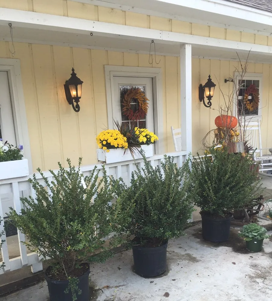 Local landscape design for residential properties across Jonesboro, AR - Mid-South Nursery & Greenhouse