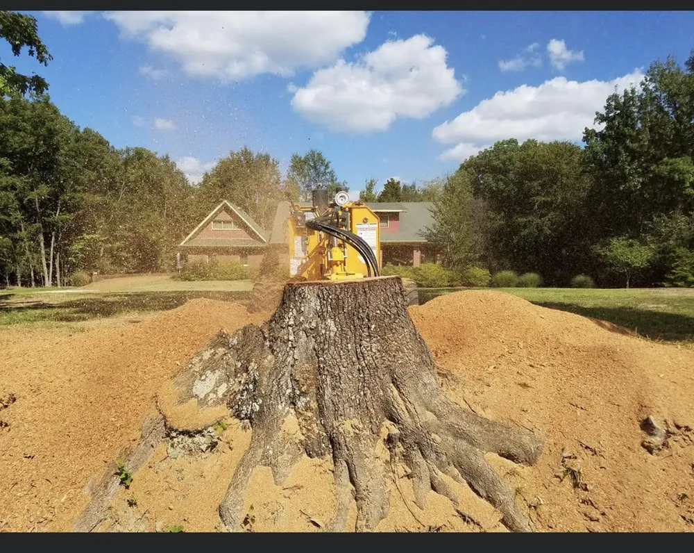 Expert lawn mowing service experts serving Arlington, TN - Mid-South Stump King