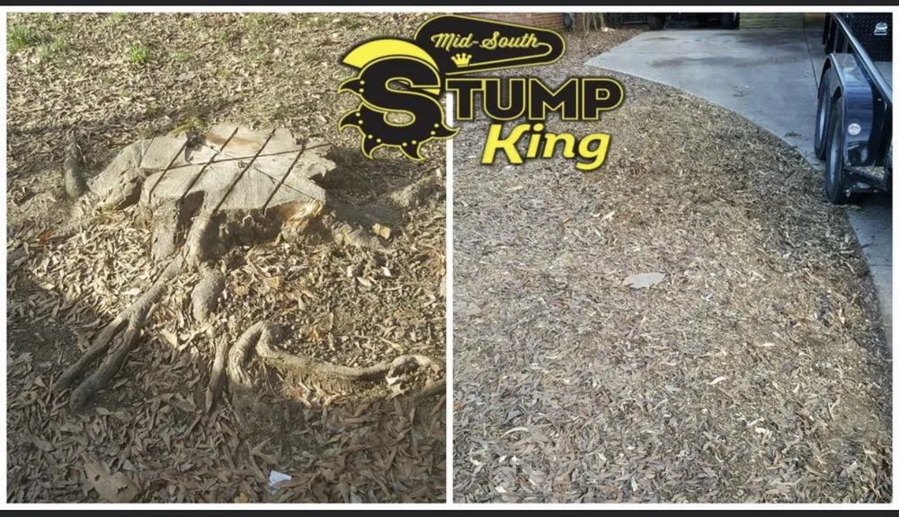 Affordable lawn mowing service in Arlington, TN - Mid-South Stump King