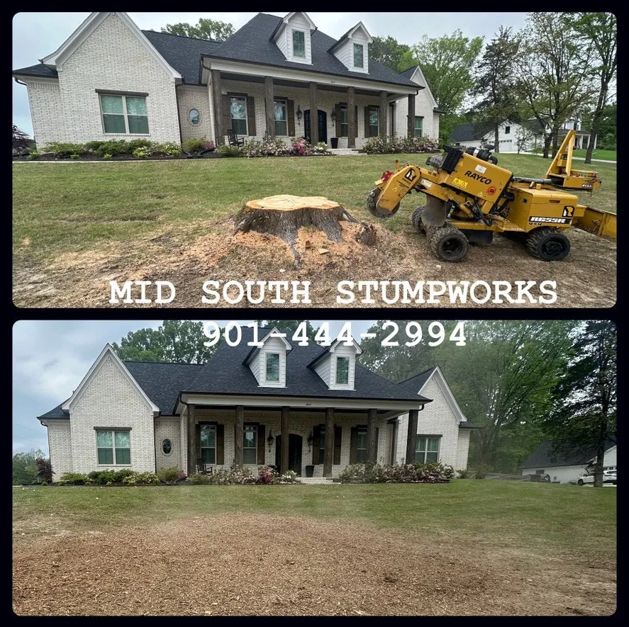 Top-rated outdoor landscaping for beautiful yards in Oakland, TN by Mid-South Stumpworks