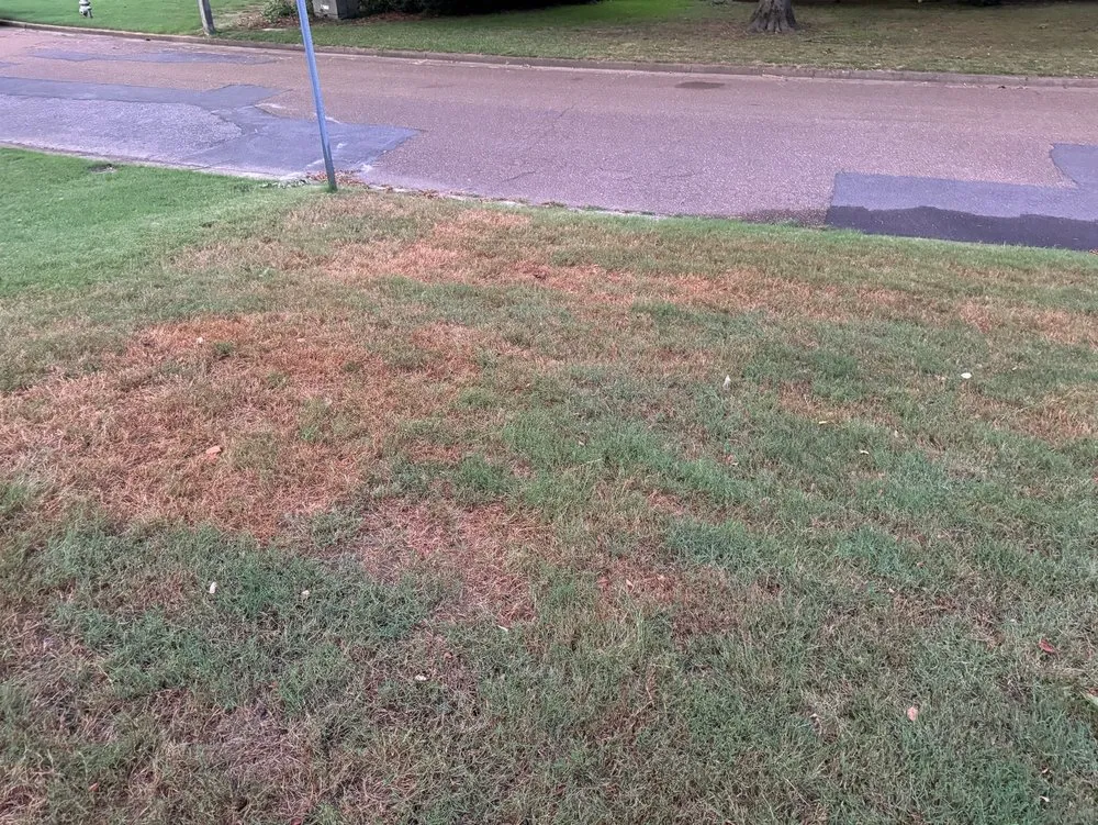 Custom outdoor landscaping in Oakland, TN by Mid-South Turf Professionals