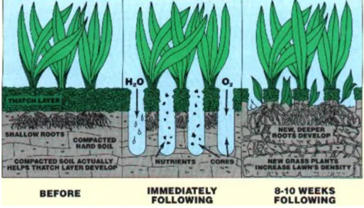Professional yard cleanup service with custom design across Oakland, TN - Mid-South Turf Professionals