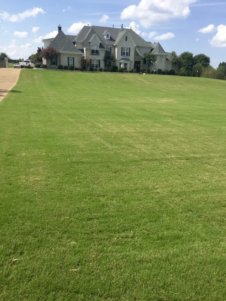 Expert residential landscaping in Oakland, TN by Mid-South Turf Professionals