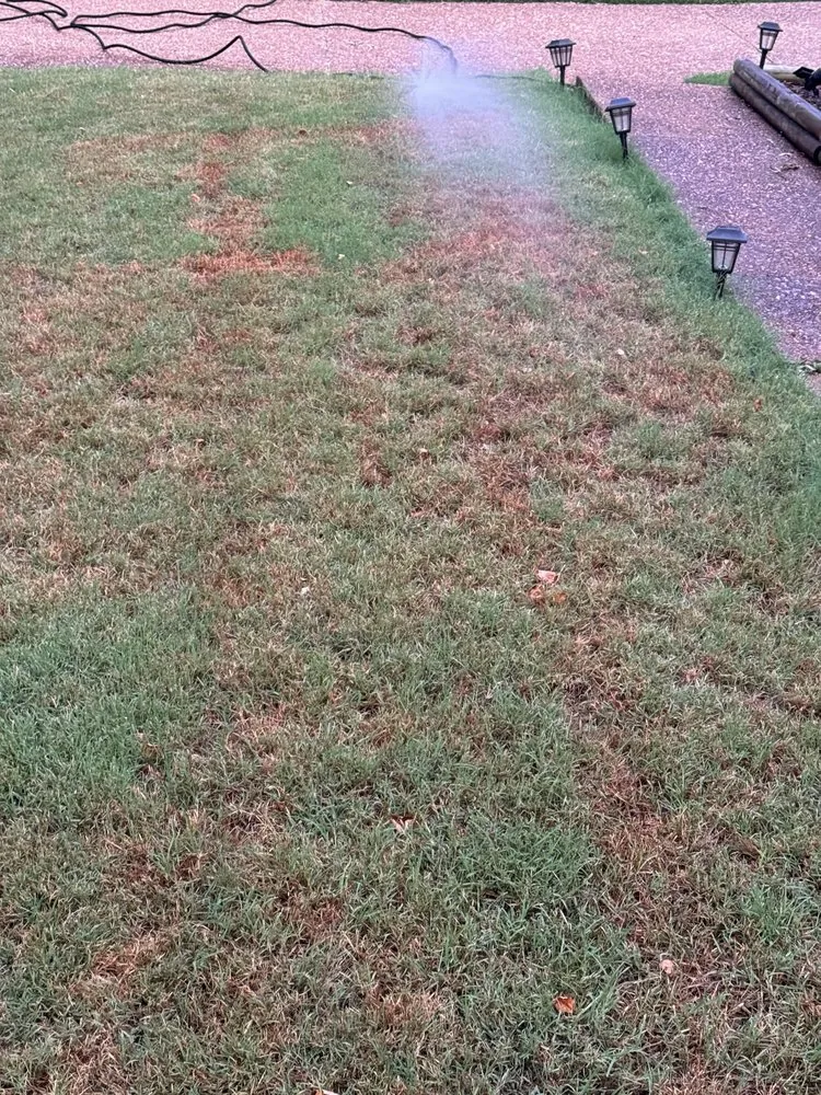 Expert lawn care service for year-round maintenance across Oakland, TN - Mid-South Turf Professionals