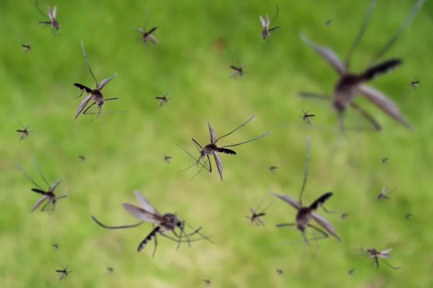 Expert landscaping services for homes across Oakland, TN - Mid-South Turf Professionals