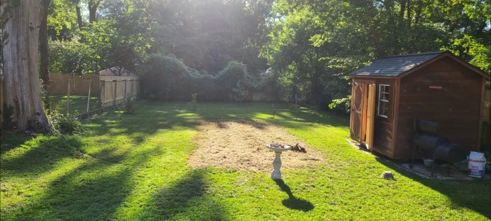 Reliable lawn care service experts serving Byhalia, MS - Mid South Yard Works