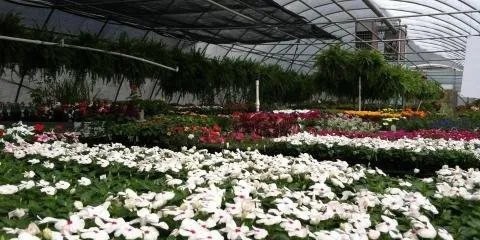 Custom residential landscaping with custom design across Cookeville, TN - Mid Tenn Nursery & Landscaping