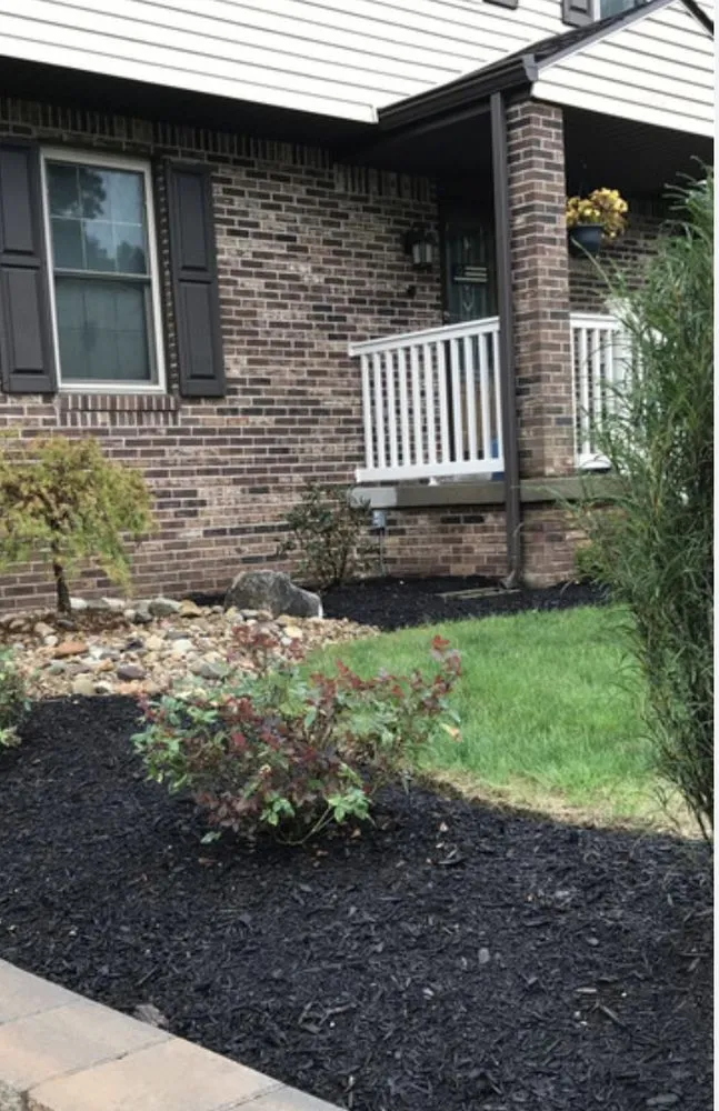 Top-rated yard cleanup service experts serving Corryton, TN - Mid-term lawn care & landscaping