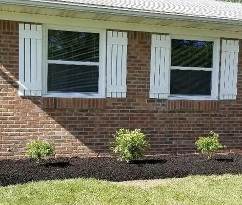 Mid-term lawn care & landscaping Logo