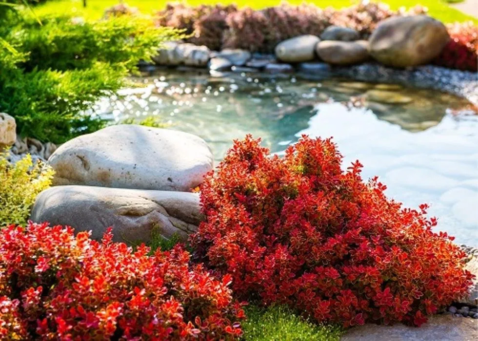 Top-rated outdoor landscaping for outdoor upgrades across Midland, TX - MID Texas Landscaping Pros