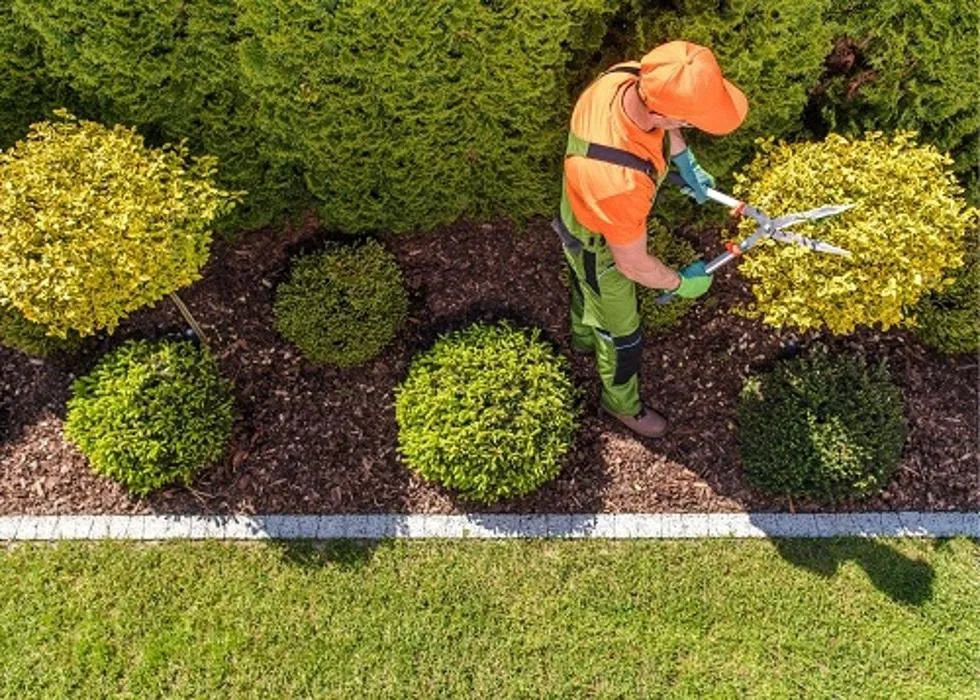Top-rated landscape design in Midland, TX by MID Texas Landscaping Pros