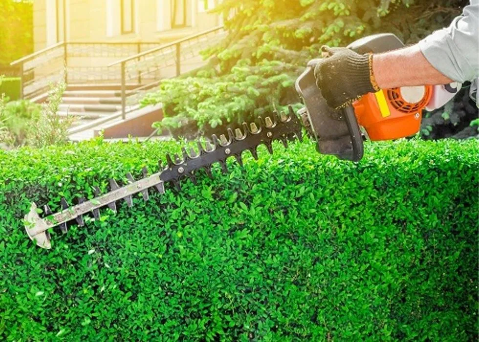 Local landscaping services in Midland, TX by MID Texas Landscaping Pros