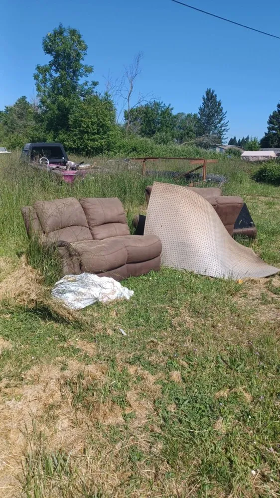 Local landscaping services for year-round maintenance in Albany, OR by Mid Valley Junk Pros