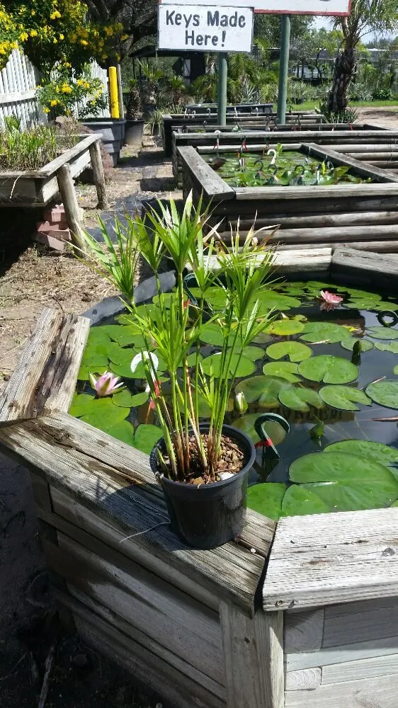 Professional residential landscaping in Alamo, TX - Mid Valley Landscape and Pond Creations