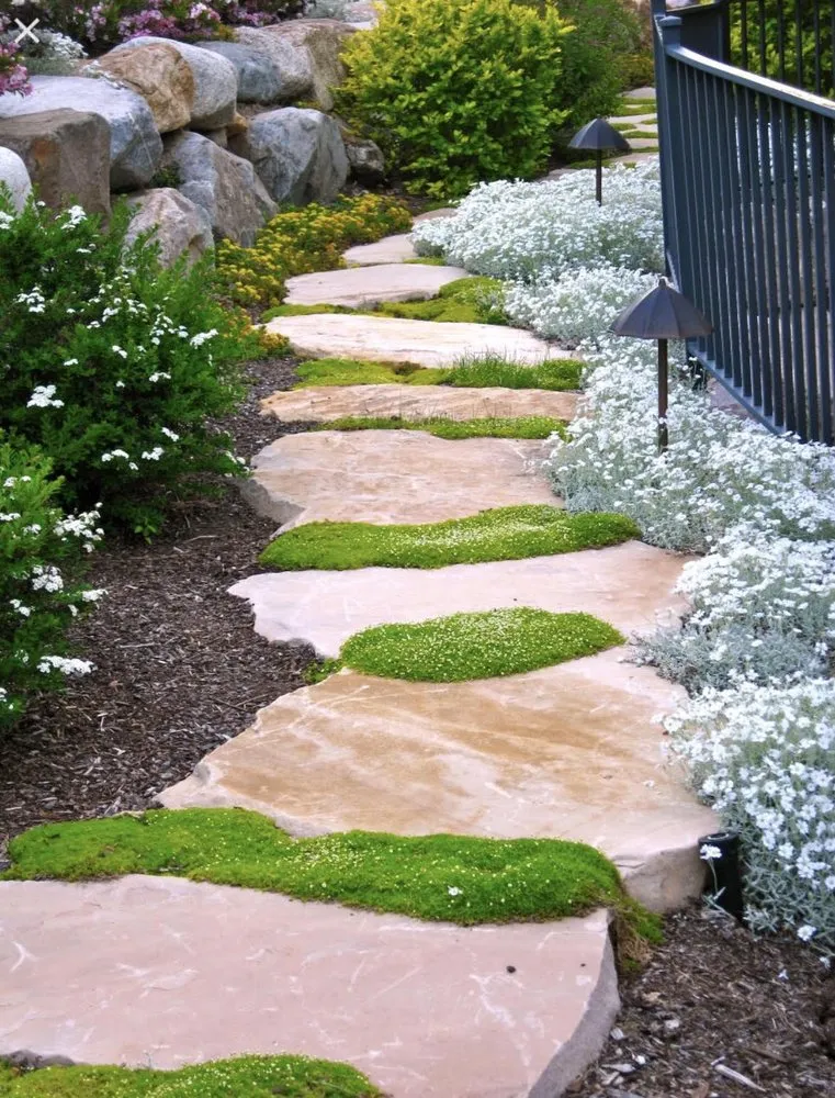 Local yard maintenance in Lodi, CA - Mid Valley Landscape