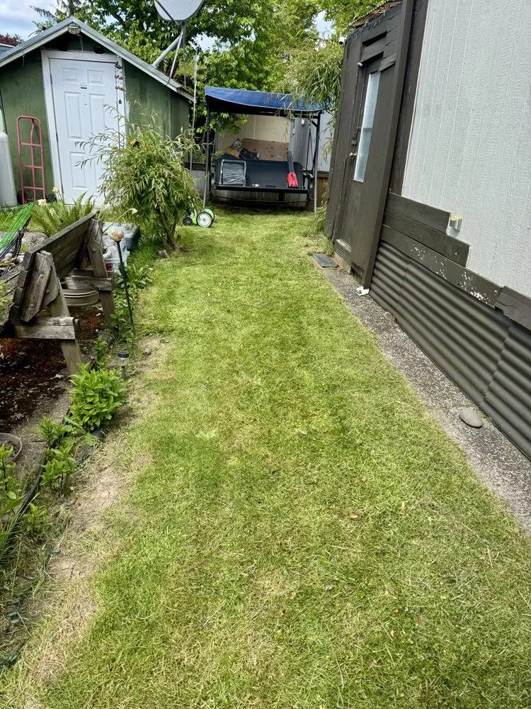 Local yard cleanup service for beautiful yards across Albany, OR - Mid Valley Landscapes