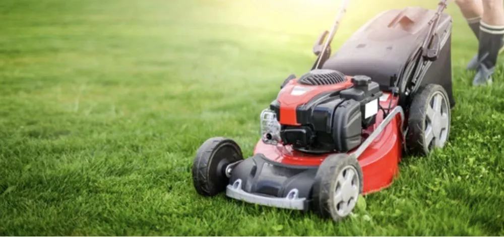 Trusted yard cleanup service experts serving Eugene, OR - Mid-Valley Landscaping