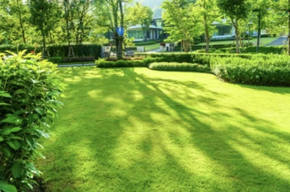 Reliable yard maintenance in Eugene, OR - Mid-Valley Landscaping
