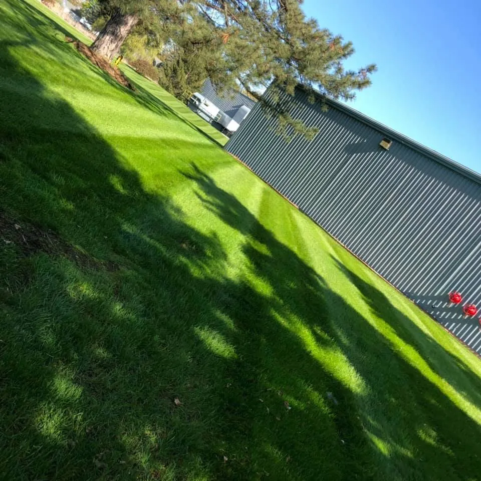 Trusted yard cleanup service in Lansing, MI by Mid West Grass Masters