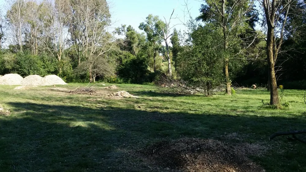 Expert outdoor landscaping for residential properties across Wauconda, IL - Mid-West Tree Experts