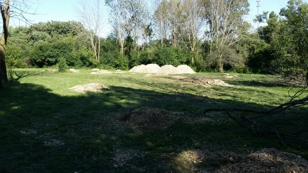 Professional lawn care service for residential properties in Wauconda, IL by Mid-West Tree Experts