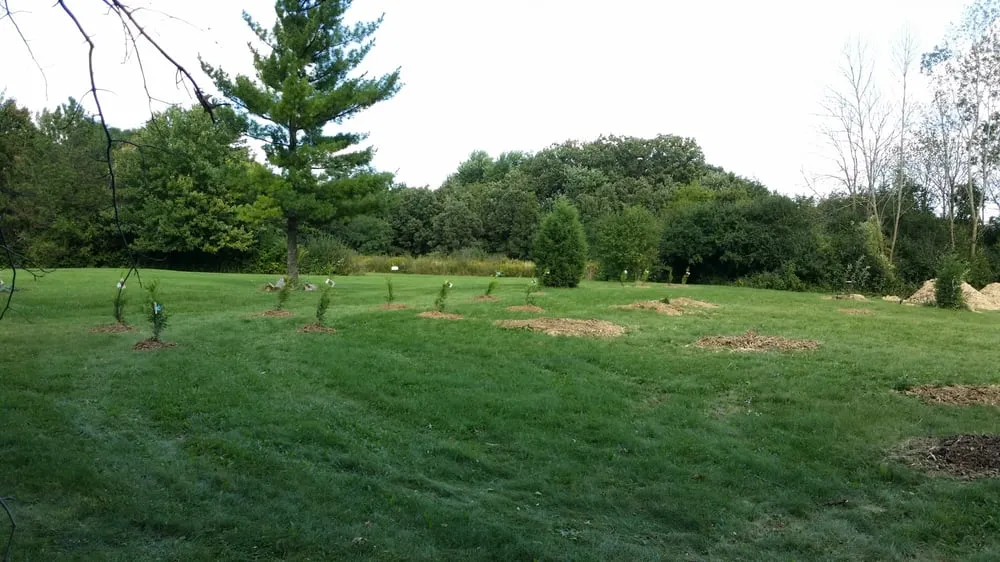 Trusted yard cleanup service experts serving Wauconda, IL - Mid-West Tree Experts