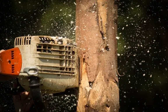 Professional outdoor landscaping for residential properties across Wauconda, IL - Mid-West Tree Experts