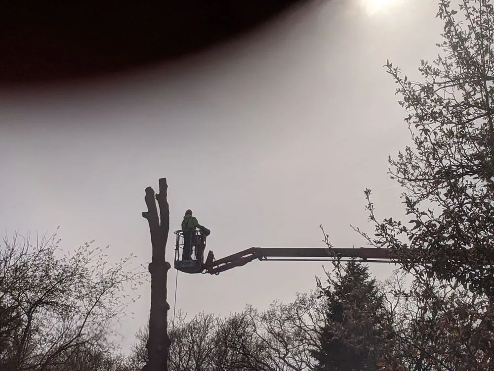 Trusted landscape design for outdoor upgrades across Wauconda, IL - Mid-West Tree Experts