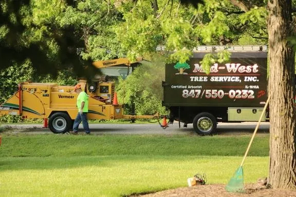 Local yard cleanup service for year-round maintenance in Wauconda, IL by Mid-West Tree Experts