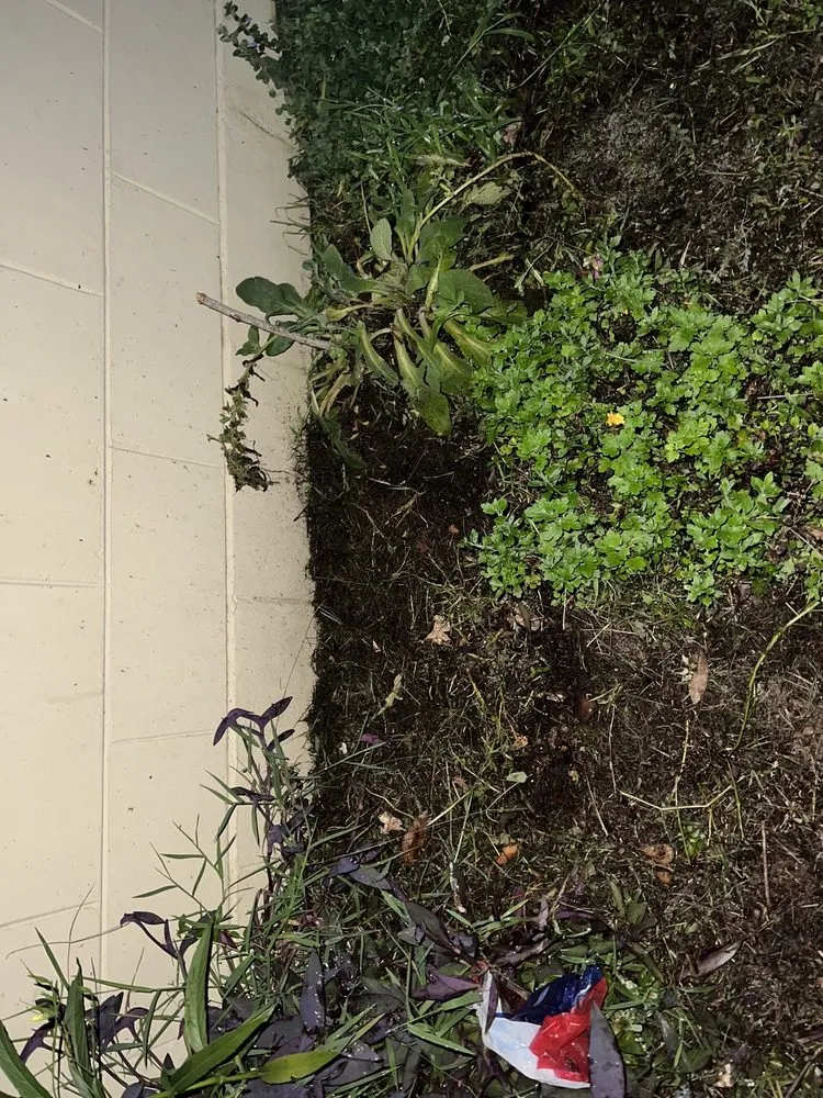 Professional lawn mowing service experts serving Orlando, FL - Midbar Gardens