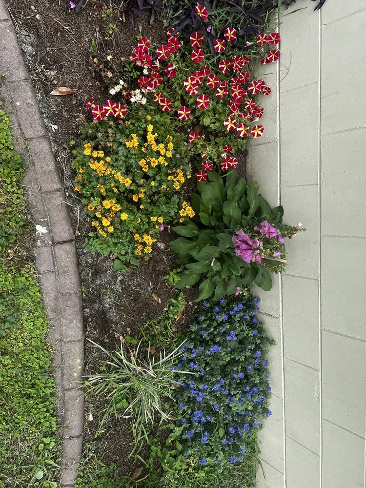 Top-rated landscape installation for residential properties in Orlando, FL by Midbar Gardens