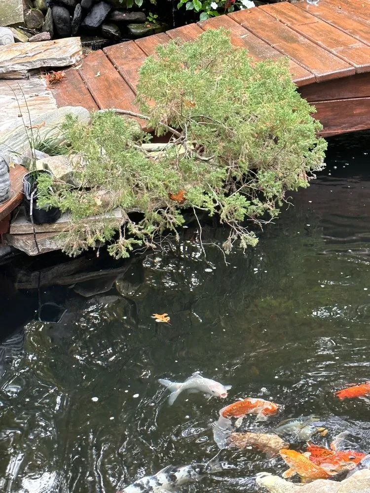 Top-rated landscaping services near you across Goose Creek, SC - Middle Earth Nursery