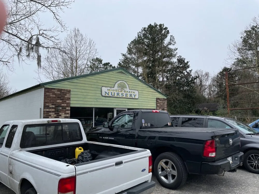 Expert lawn care service for year-round maintenance in Goose Creek, SC by Middle Earth Nursery