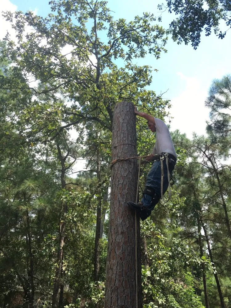 Local yard cleanup service for beautiful yards across Magnolia, TX - Middle Earth Outdoor Services